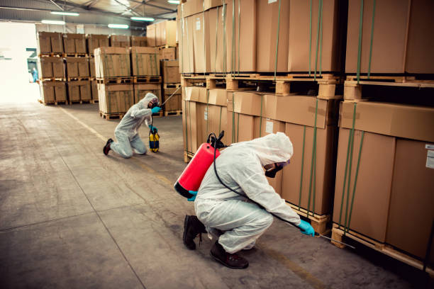 Best Wildlife Control Services  in Hettinger, ND