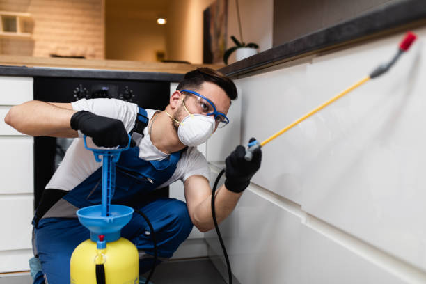 Best Pest Control for Homes  in Hettinger, ND
