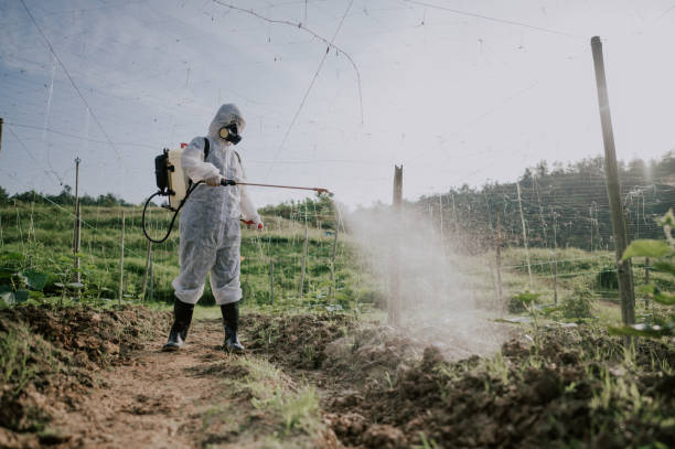 Professional Pest Control in Hettinger, ND
