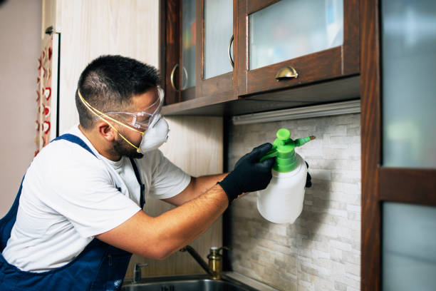Best Mosquito Control Services  in Hettinger, ND