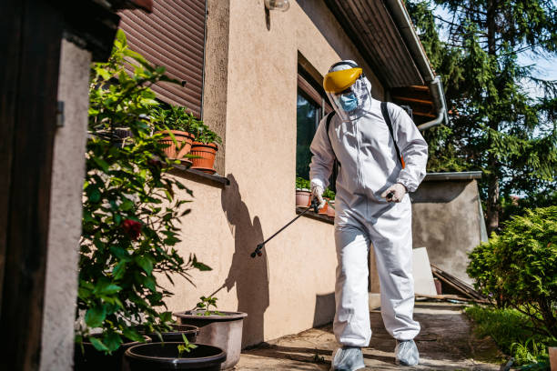 Best Best Pest Control Companies  in Hettinger, ND