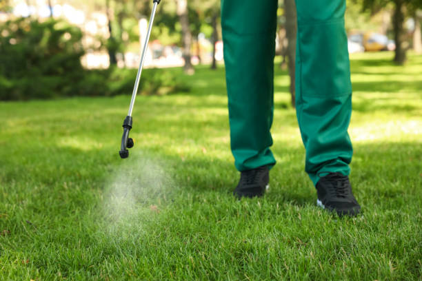 Best Termite Control Services  in Hettinger, ND