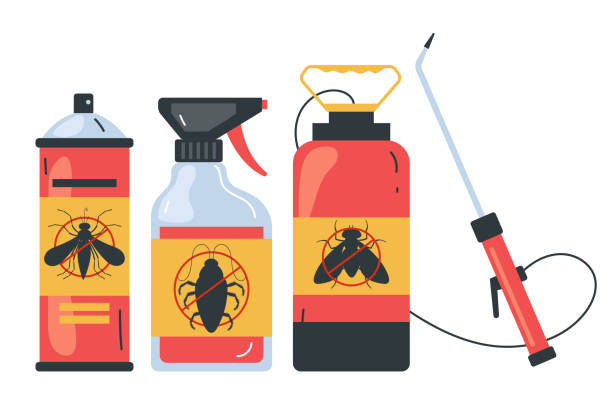 Best Termite Control Services  in Hettinger, ND