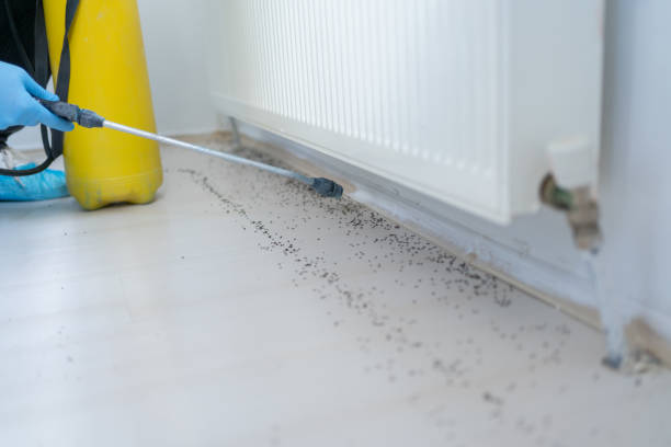 Best Commercial Pest Control Services  in Hettinger, ND